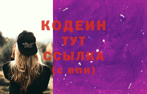 МДПВ Нижний Тагил