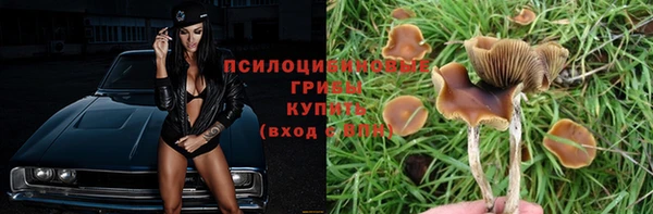 МДПВ Нижний Тагил